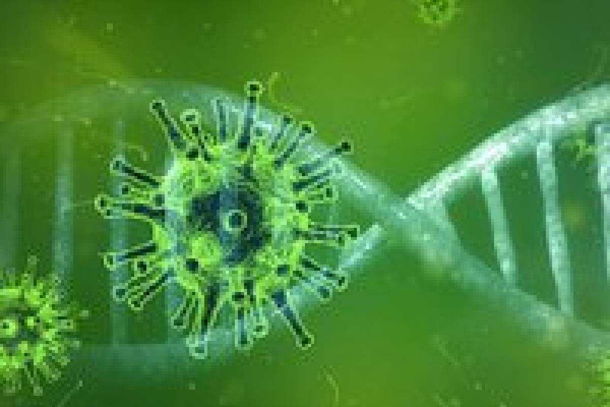 В мире от коронавируса умерли более 20 тысяч человек В мире от коронавируса умерли более 20 тысяч человек