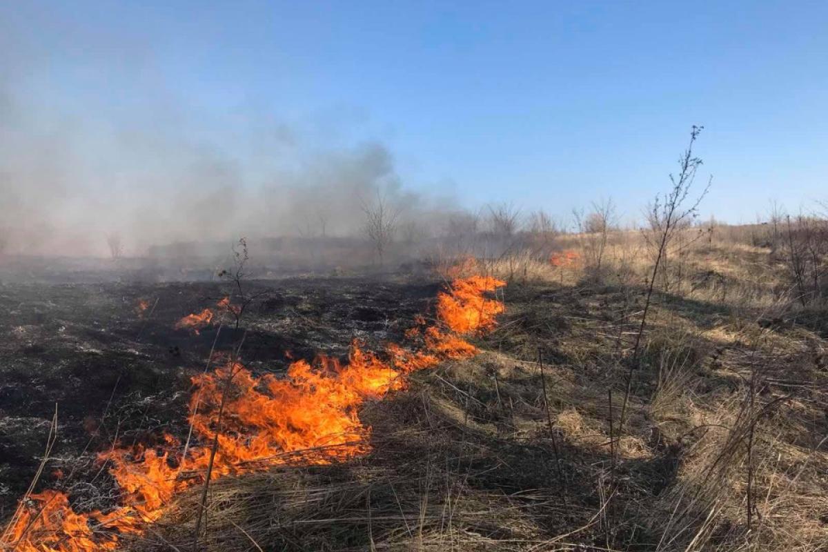 Верховная Рада повысила штрафы за поджог сухостоя в 18 раз Верховная Рада повысила штрафы за поджог сухостоя в 18 раз