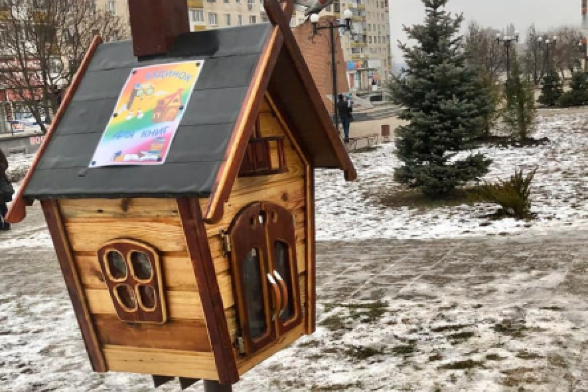 "Деградация населения налицо": В Лисичанске испортили домик для книг