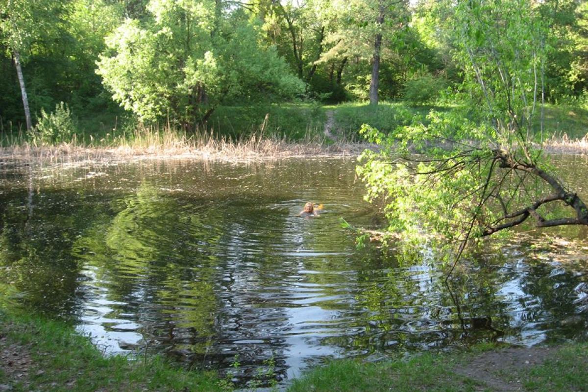 Под Черниговом высохло тысячелетнее озеро, в котором принимали христианство Под Черниговом высохло тысячелетнее озеро, в котором принимали христианство