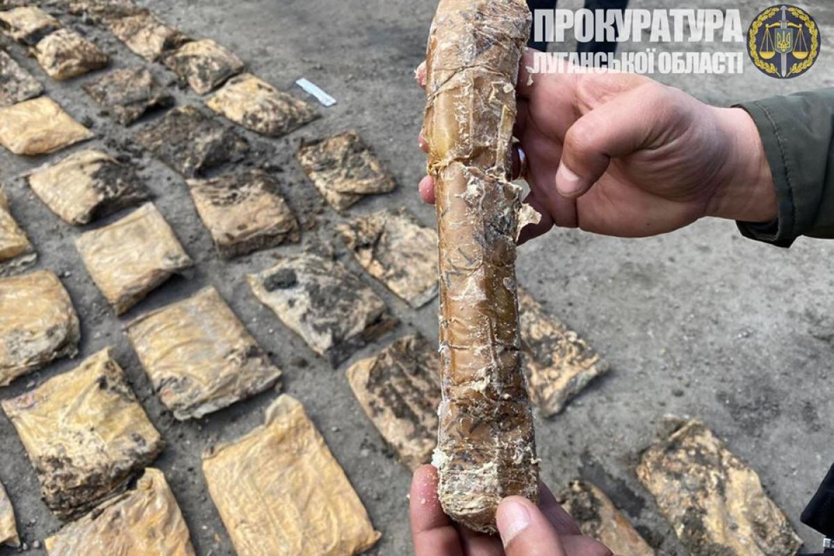 Более 210 кг взрывчатки: В Лисичанске на частном подворье откопали схрон боевика "ЛНР" Более 210 кг взрывчатки: В Лисичанске на частном подворье откопали схрон боевика "ЛНР"