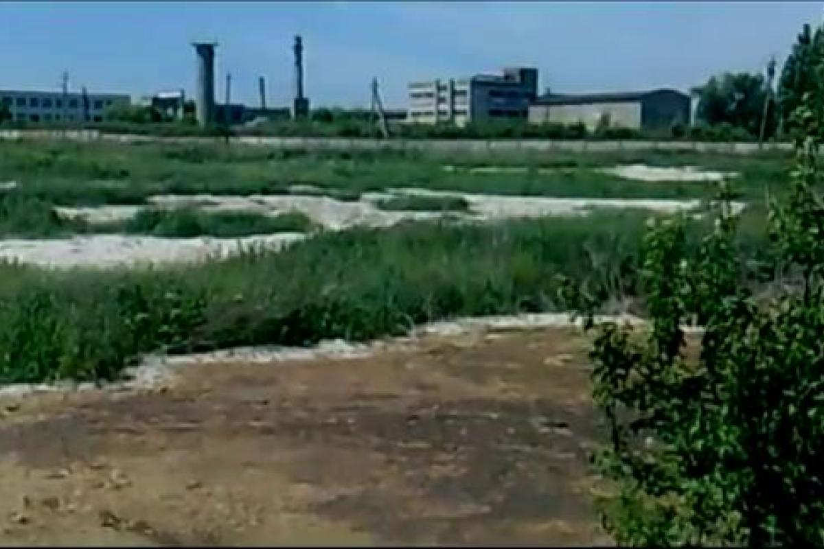 Возник дефицит: на желатиновый завод в Лисичанске начнут ввоз сырья из-за границы  Возник дефицит: на желатиновый завод в Лисичанске начнут ввоз сырья из-за границы