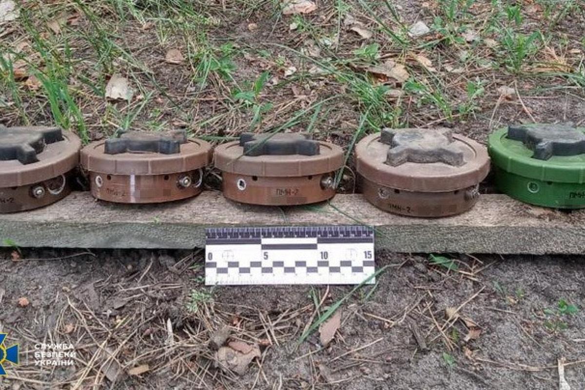 На Луганщине расследуют минирование территории вблизи поселка На Луганщине расследуют минирование территории вблизи поселка