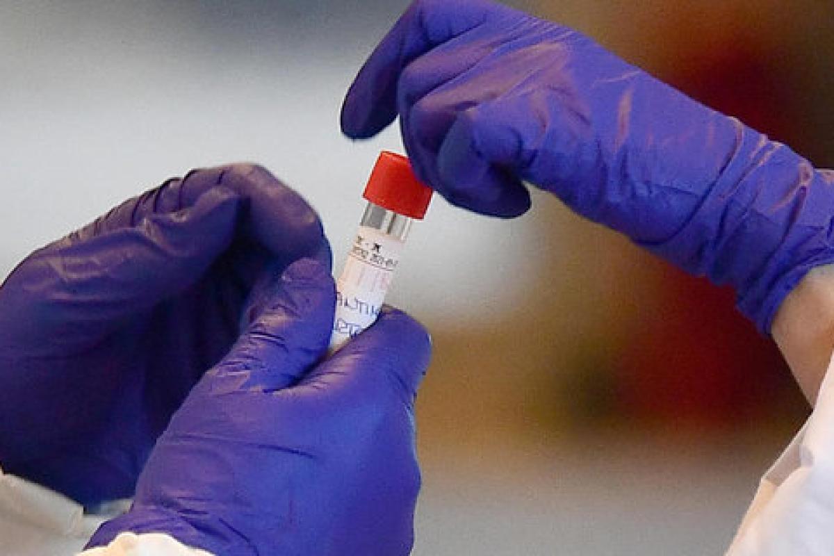 Лидер по распространению COVID-19 в Европе: Беларусь бьет антирекорды