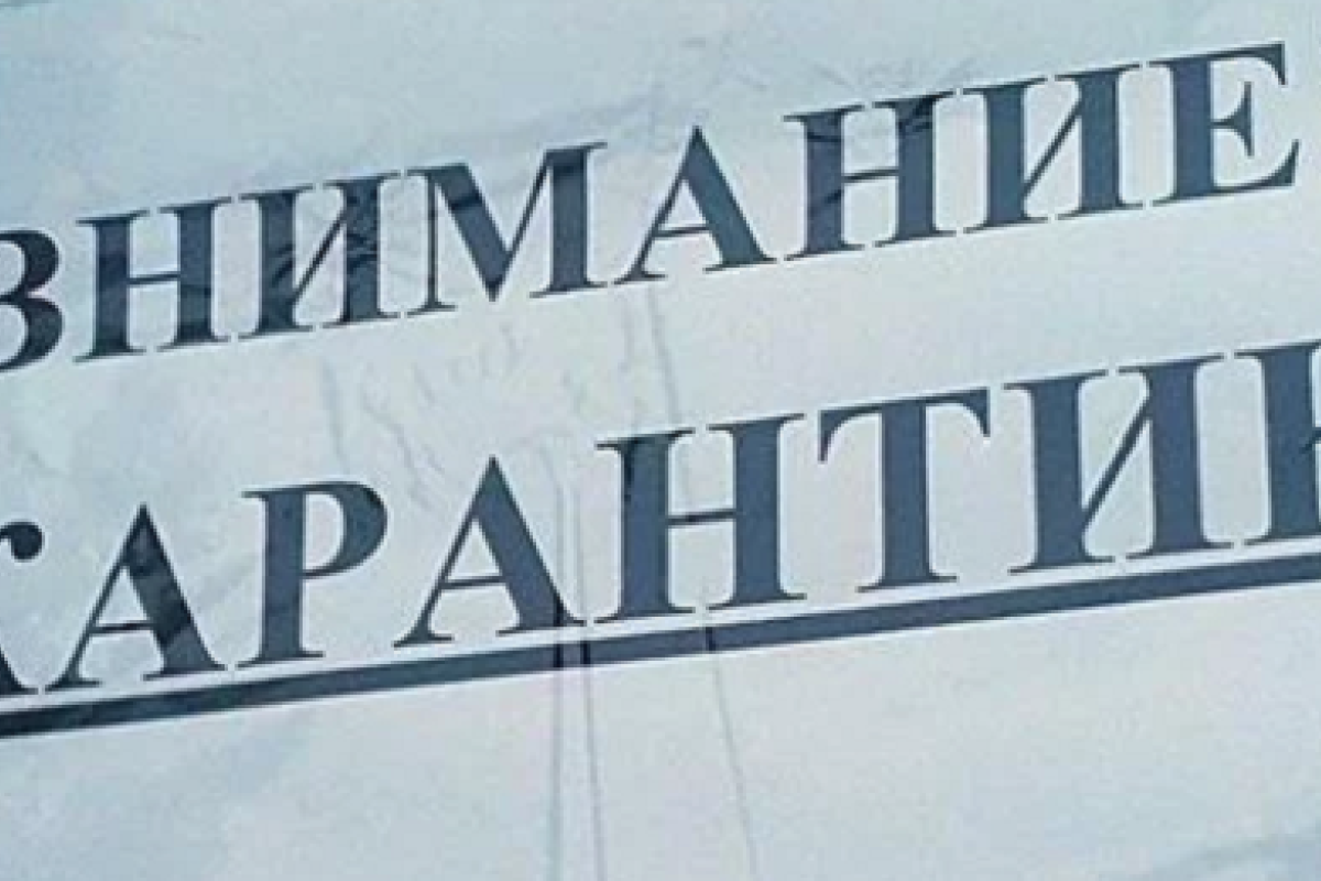 Какие ослабления карантина ждут Луганскую область: в ЛОГА сделали важное заявление Какие ослабления карантина ждут Луганскую область: в ЛОГА сделали важное заявление