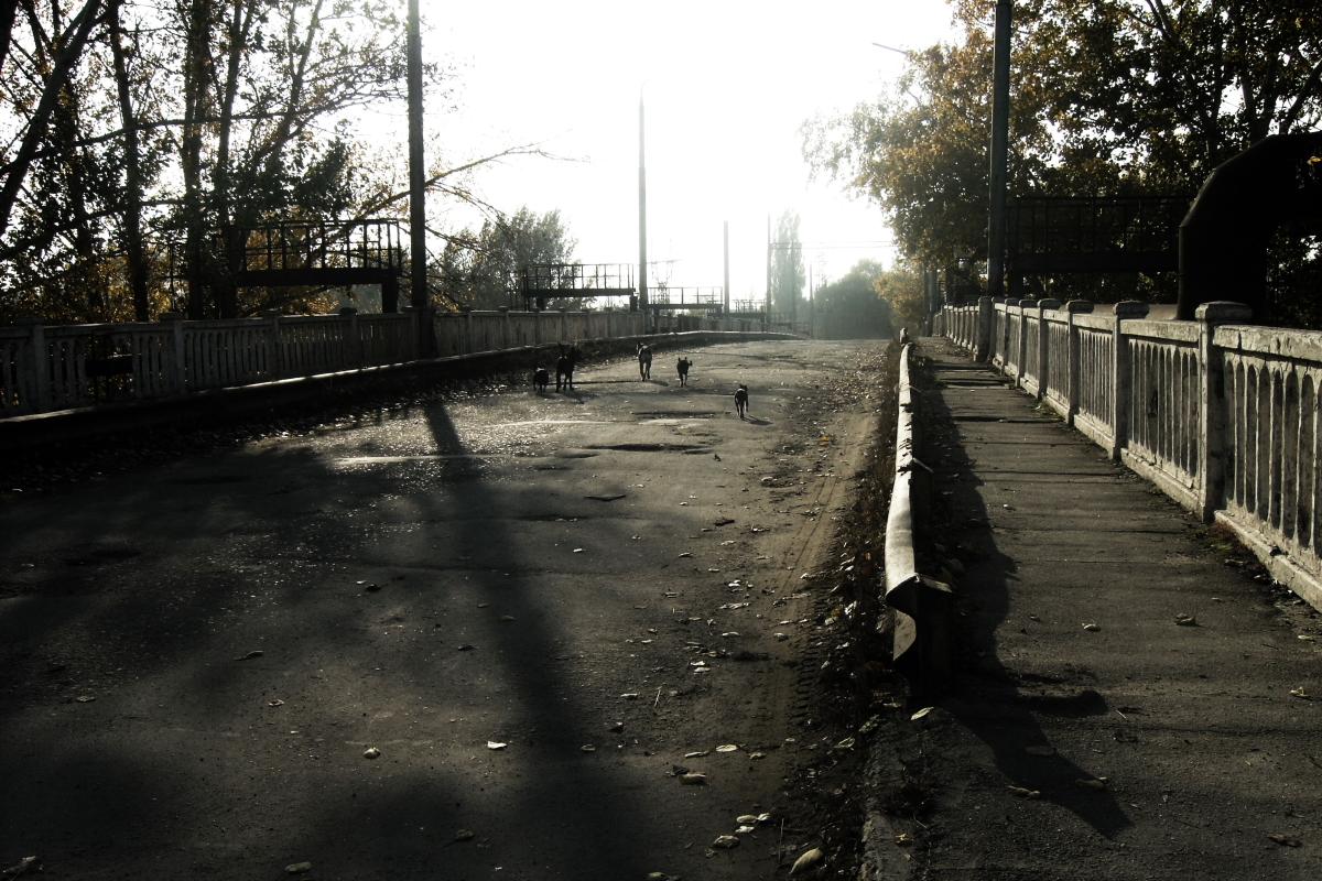 Гайдай сообщил, когда и при каких условиях могут восстановить дорогу через содовый завод в Лисичанске