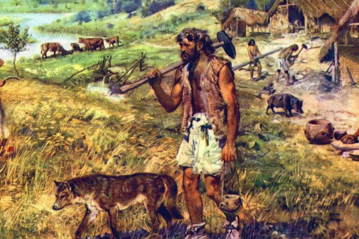 Неизвестные существа: археологи в Иордании обнаружили необычную находку