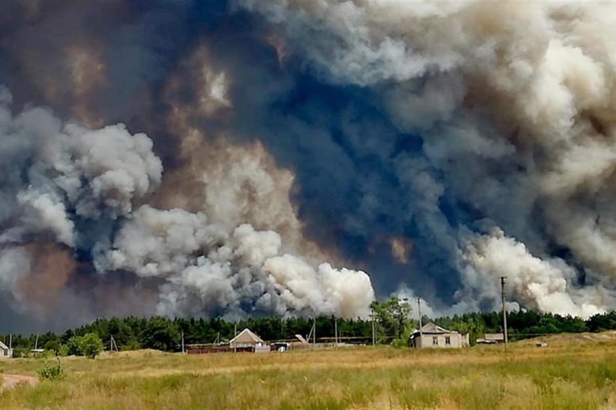 Когда пострадавшие от пожара в Смоляниново получат компенсацию: в ЛОГА рассказали о сроках Когда пострадавшие от пожара в Смоляниново получат компенсацию: в ЛОГА рассказали о сроках