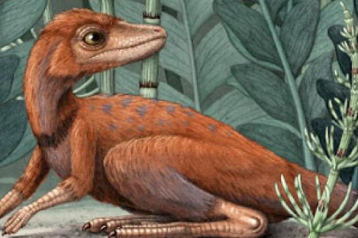 Исследователи рассказали, какими были первые динозавры Исследователи рассказали, какими были первые динозавры