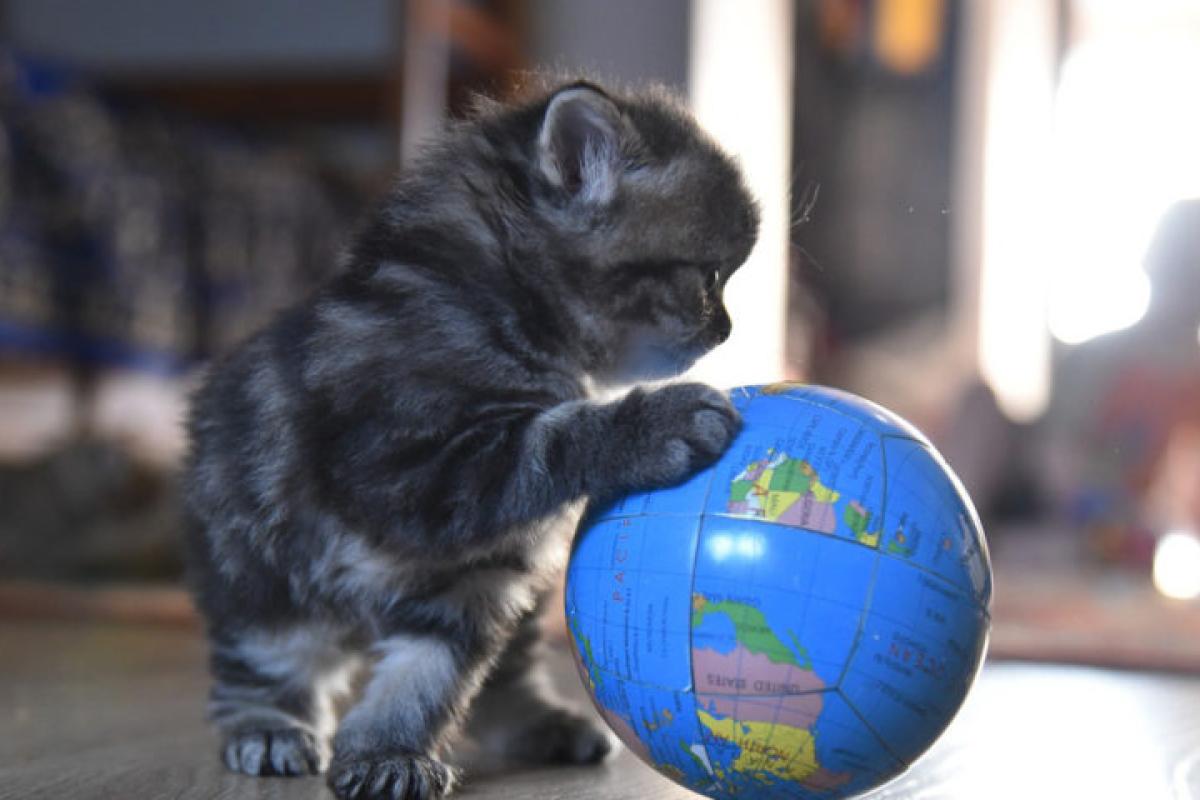 Минздрав обновил перечень стран "зеленой" и "красной" зоны