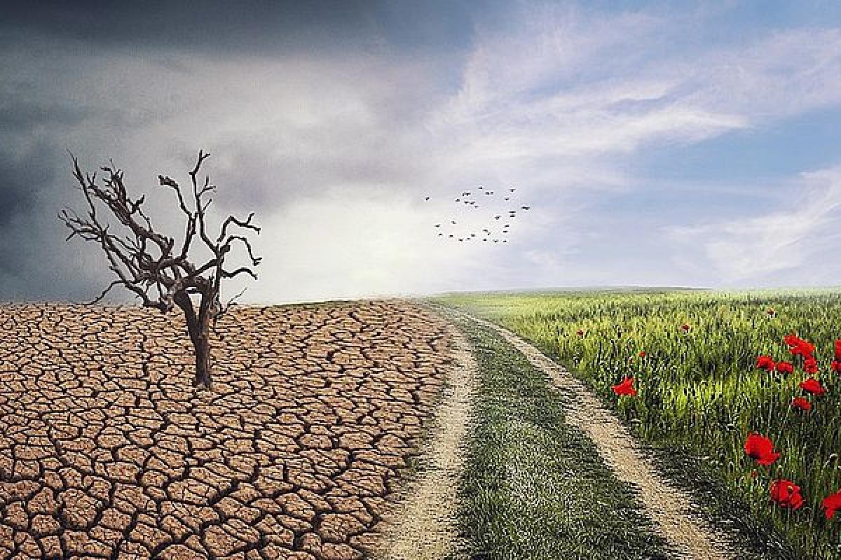 Метеорологи разработали прогноз изменения климата на ближайшие 5 лет Метеорологи разработали прогноз изменения климата на ближайшие 5 лет