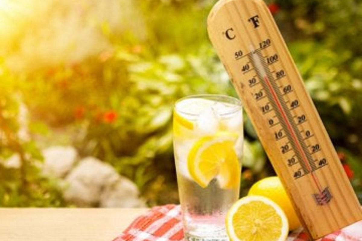 До 40 градусів в тіні: На Луганщині прогнозують аномальну спеку До 40 градусів в тіні: На Луганщині прогнозують аномальну спеку