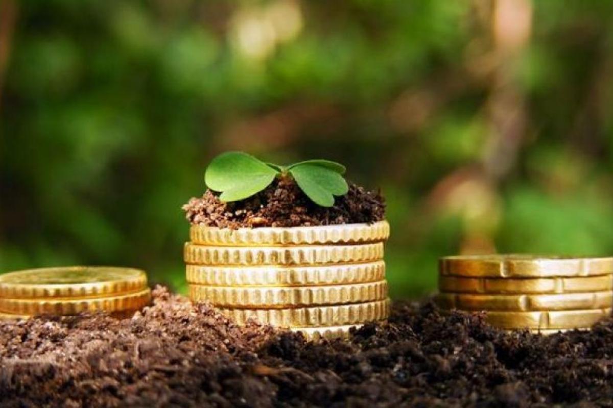 Податок на земельну ділянку в Україні: хто може не сплачувати