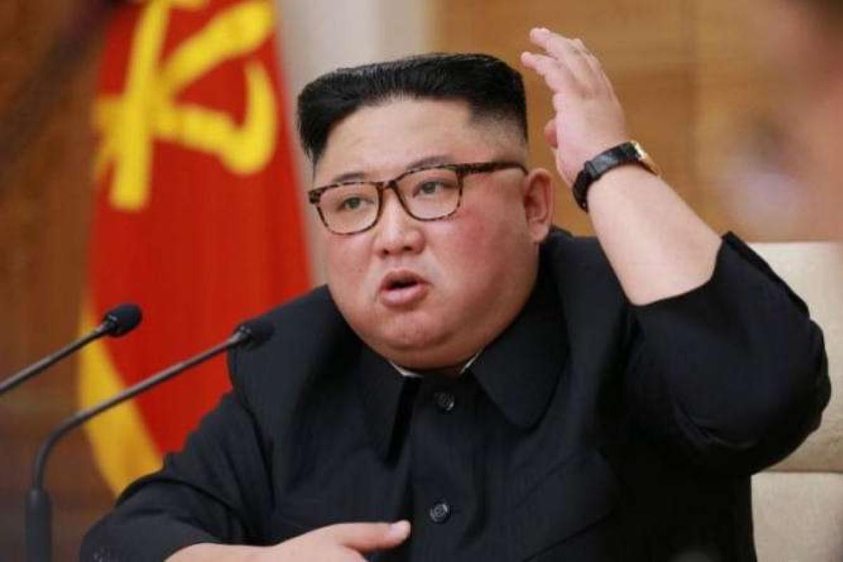 Ким Чен Ын объявил домашних собак незаконными: животных массово изымают на мясо Ким Чен Ын объявил домашних собак незаконными: животных массово изымают на мясо