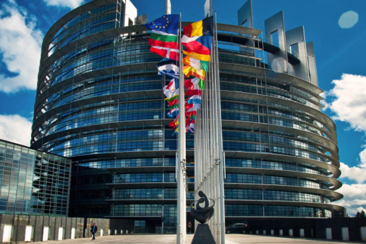 В Европарламенте не признали выборы в Беларуси и объявили Лукашенко персоной нон грата В Европарламенте не признали выборы в Беларуси и объявили Лукашенко персоной нон грата