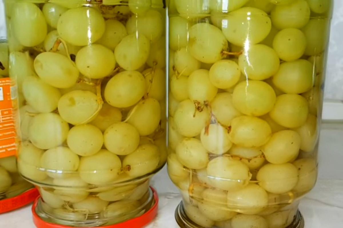 Маринованный виноград – отличная закуска к мясу Маринованный виноград – отличная закуска к мясу