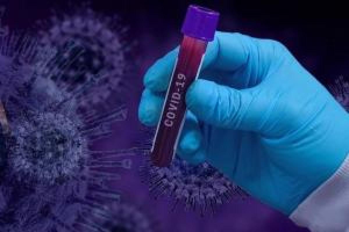В Луганской области зафиксировано 24 новых случая COVID-19: Северодонецк и Лисичанск по-прежнему лидируют В Луганской области зафиксировано 24 новых случая COVID-19: Северодонецк и Лисичанск по-прежнему лидируют