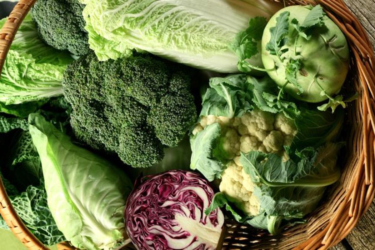 Помогут быстро похудеть: диетолог рассказала о простых продуктах, которые нужно есть каждый день Помогут быстро похудеть: диетолог рассказала о простых продуктах, которые нужно есть каждый день