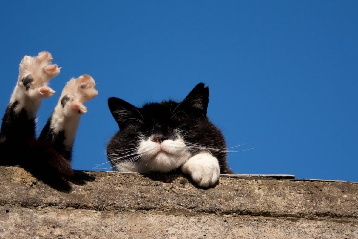 Зима стане осінню: в Україні очікується зміна погоди Зима стане осінню: в Україні очікується зміна погоди