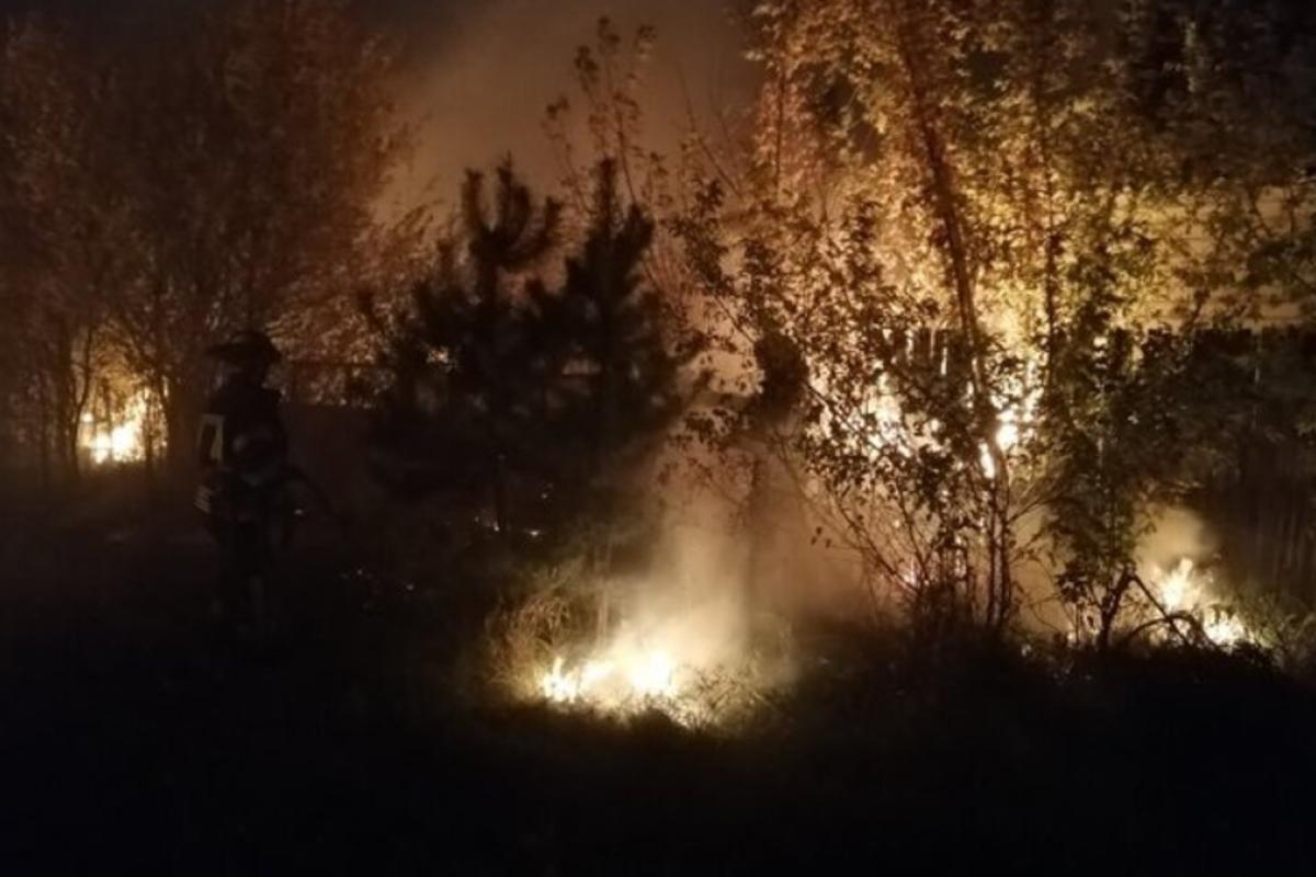 Зеленський не пов'язує пожежу на Луганщині з обстрілами бойовиків, в ООС запевняють у зворотньому Зеленський не пов'язує пожежу на Луганщині з обстрілами бойовиків, в ООС запевняють у зворотньому