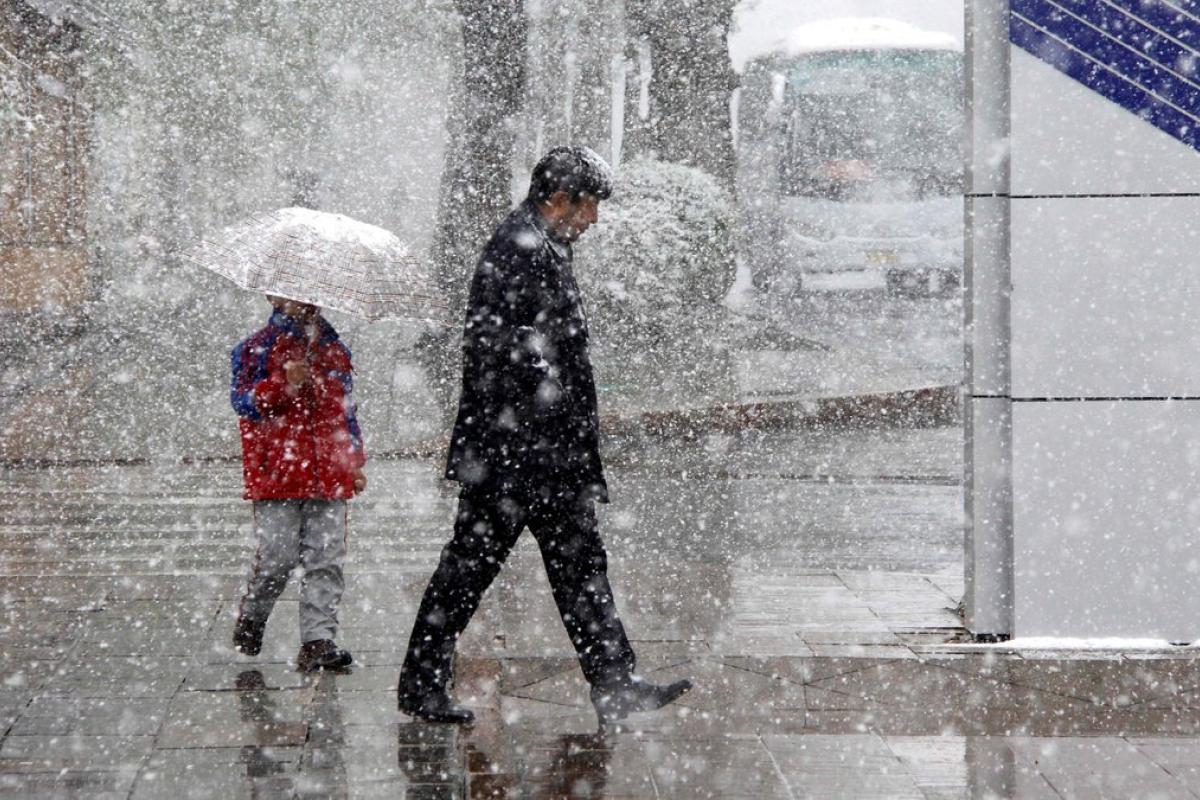 Зима в Україні цього року буде аномальною, - синоптик Зима в Україні цього року буде аномальною, - синоптик