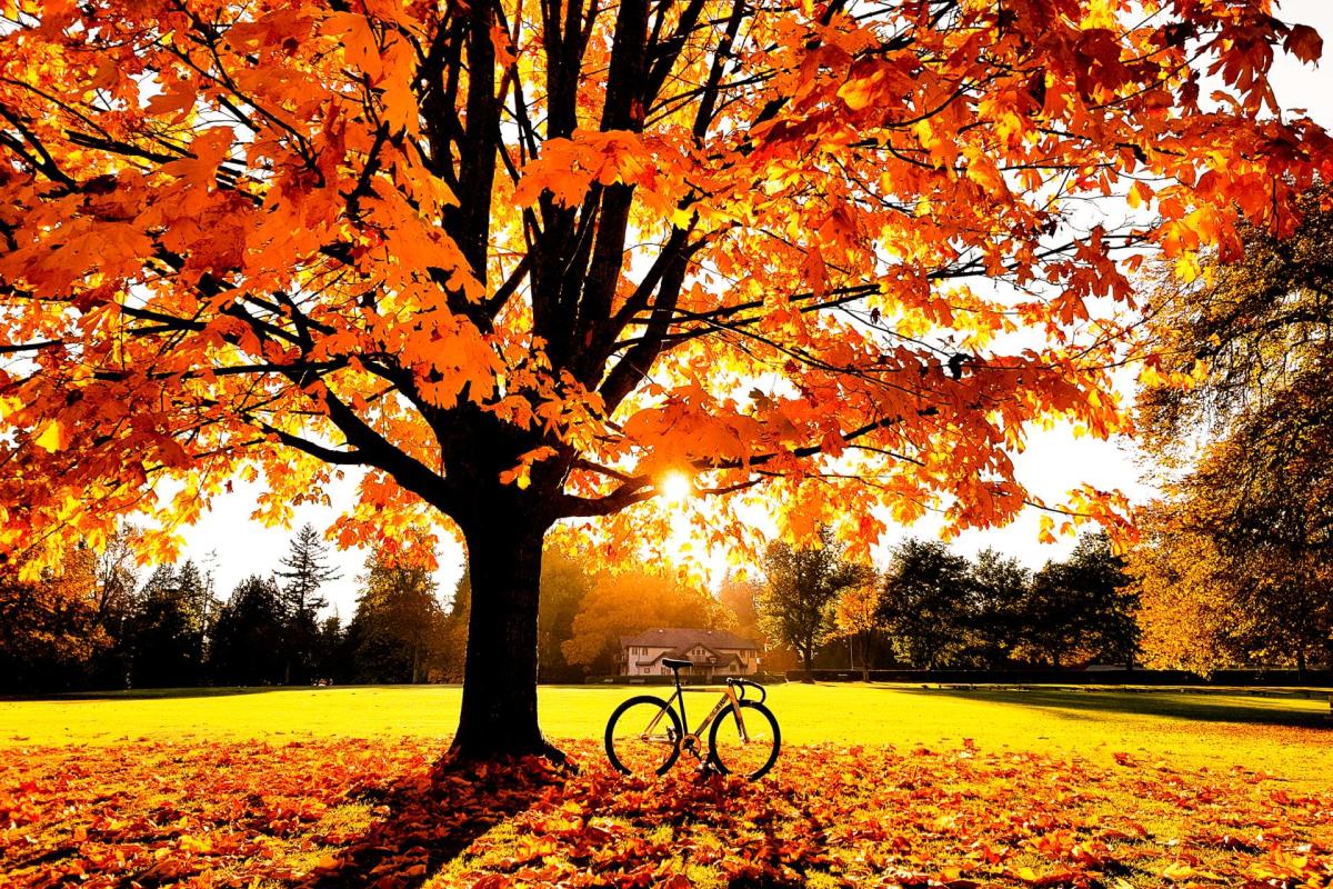 Вересень цього року став найтеплішим у світі за кілька років спостережень Вересень цього року став найтеплішим у світі за кілька років спостережень