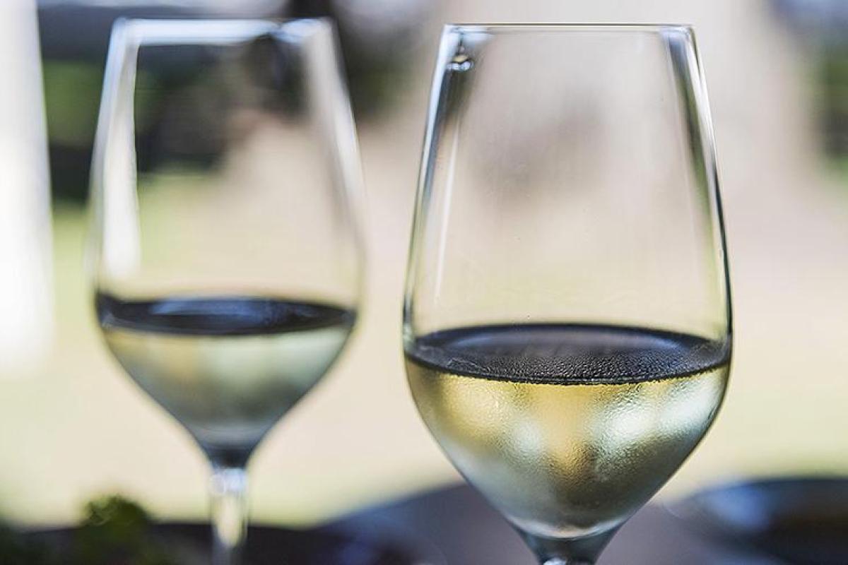 Алкоголь корисний для людей старше 50 років, - вчені Алкоголь корисний для людей старше 50 років, - вчені