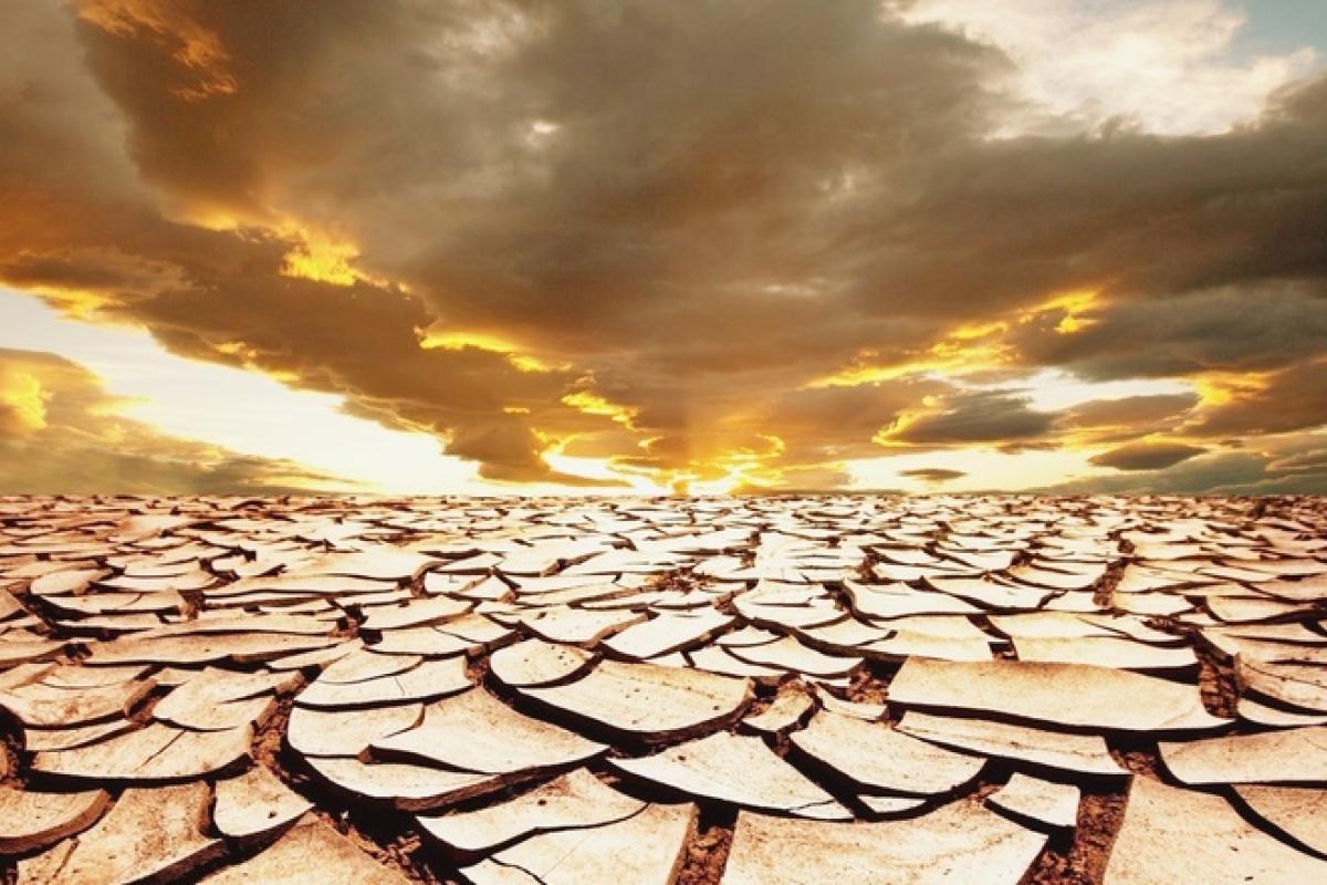 Народний синоптик прогнозує катастрофічну посуху в Україні Народний синоптик прогнозує катастрофічну посуху в Україні