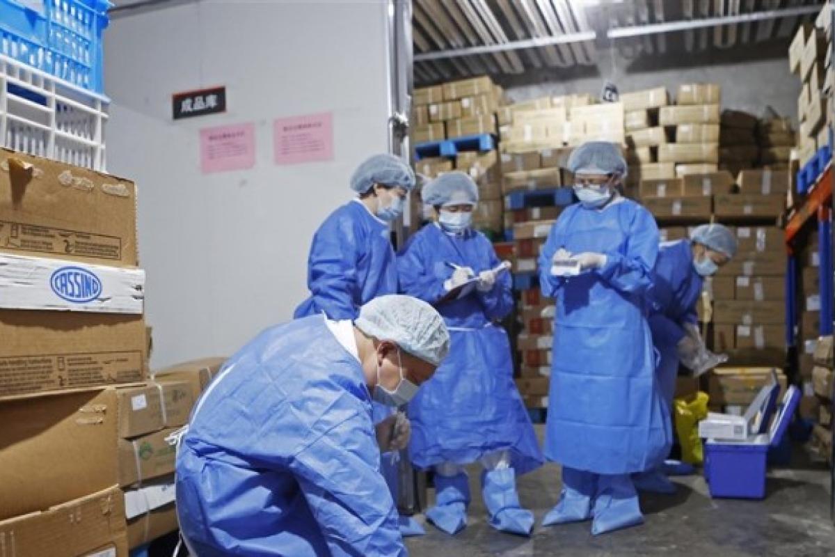 У Китаї заявили про ризик передачі коронавіруса через заморожені продукти У Китаї заявили про ризик передачі коронавіруса через заморожені продукти