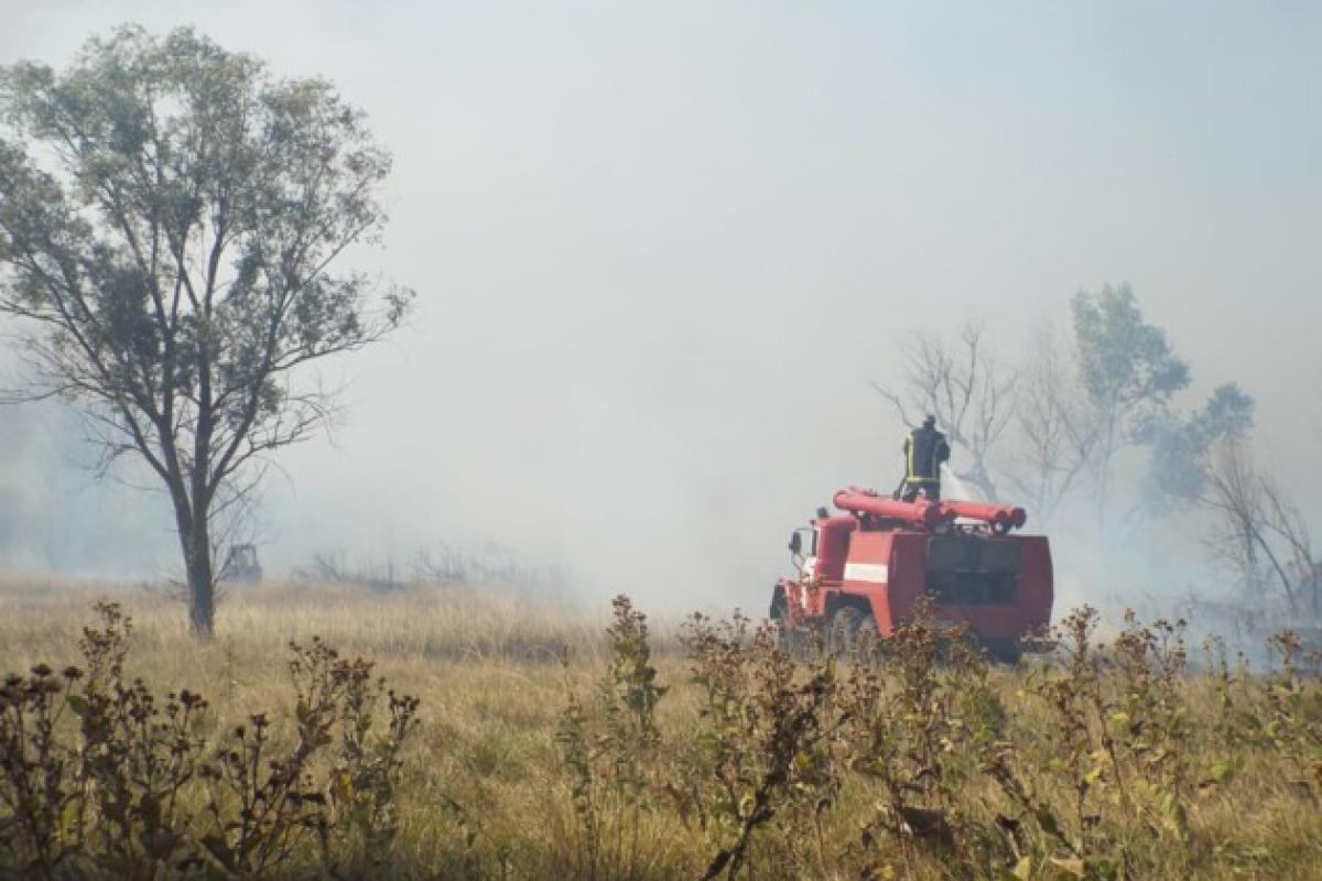 Пожежа на Луганщині підступає до позицій ЗСУ Пожежа на Луганщині підступає до позицій ЗСУ