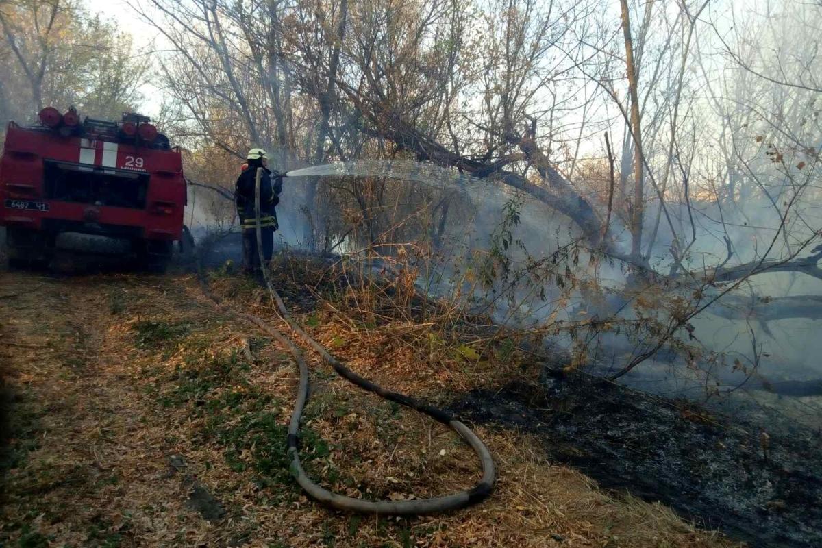 На Луганщині продовжують гасити два осередки пожеж: оперативна інформація На Луганщині продовжують гасити два осередки пожеж: оперативна інформація