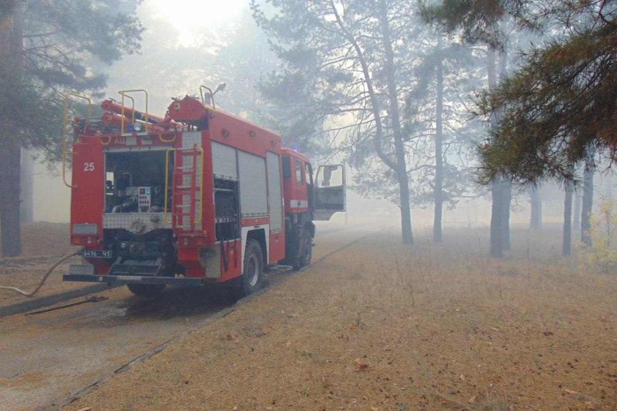 На Луганщині від пожежі постраждало ще одне село: почалася евакуація На Луганщині від пожежі постраждало ще одне село: почалася евакуація