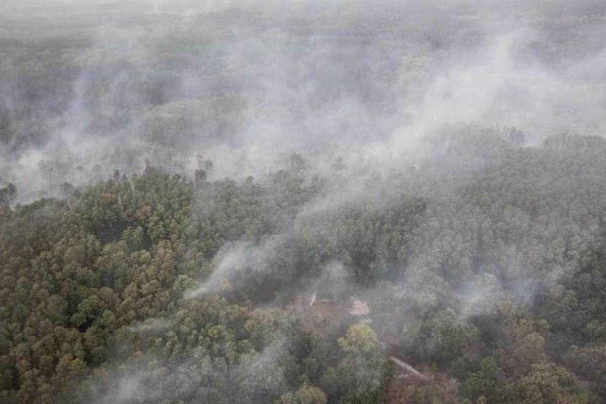 На Луганщині ліквідували 116 осередків пожеж, 30 продовжують горіти, - МВС На Луганщині ліквідували 116 осередків пожеж, 30 продовжують горіти, - МВС