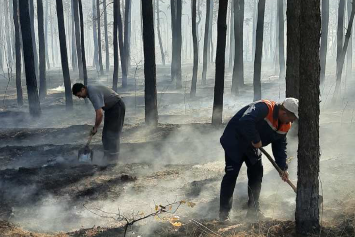 На Луганщині врятували від вогню дві електропідстанції На Луганщині врятували від вогню дві електропідстанції