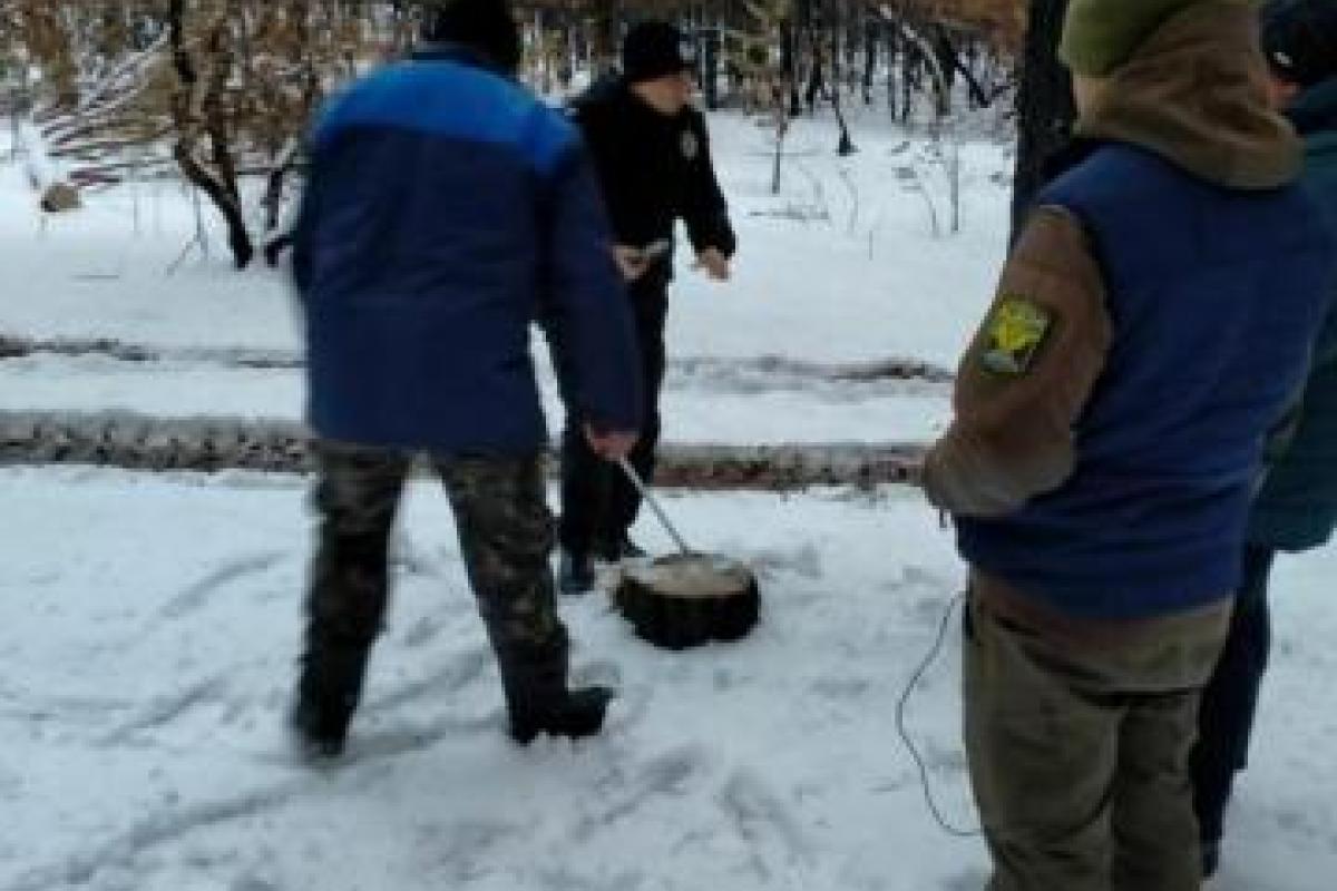 На Луганщине на местах пожаров орудуют "черные лесорубы"