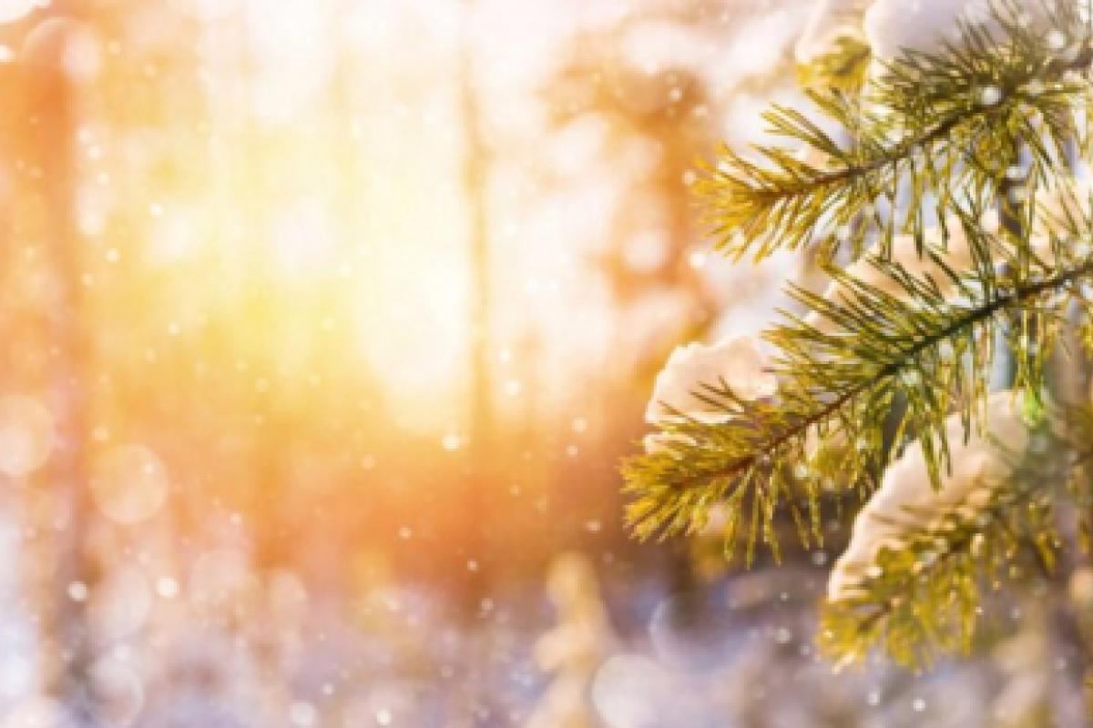 Сюрпризи погоди: синоптик розповіла, якою буде зима в 2021 році Сюрпризи погоди: синоптик розповіла, якою буде зима в 2021 році