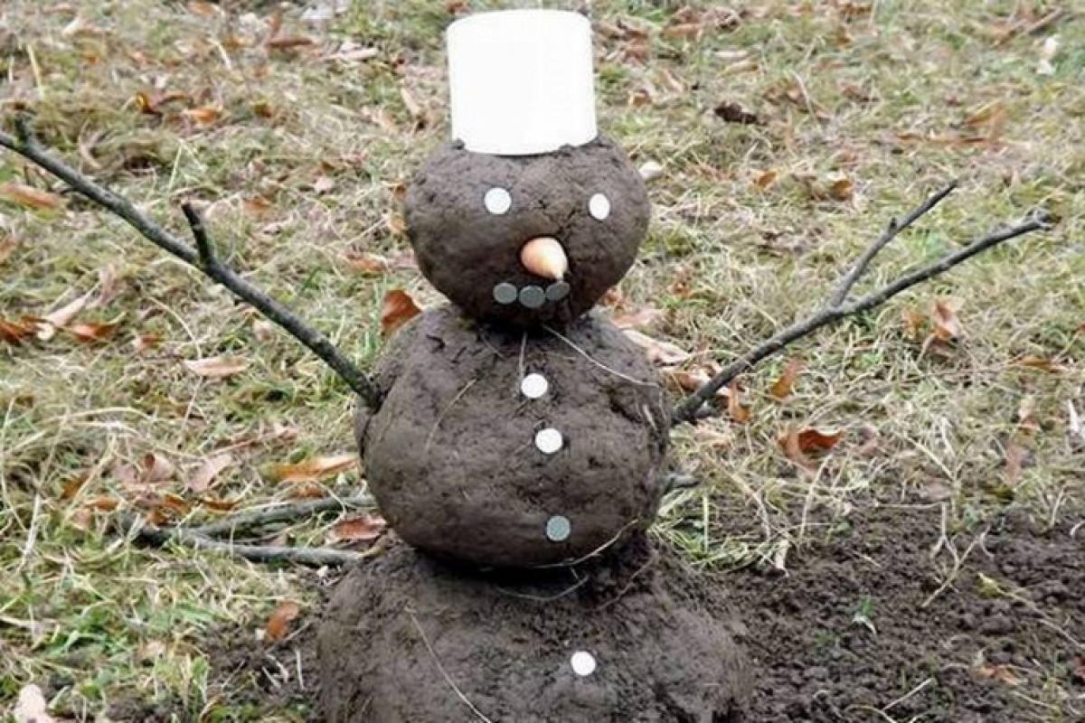 Знову без снігу: народні синоптики обіцяють українцям "бабине літо" під Новий рік Знову без снігу: народні синоптики обіцяють українцям "бабине літо" під Новий рік