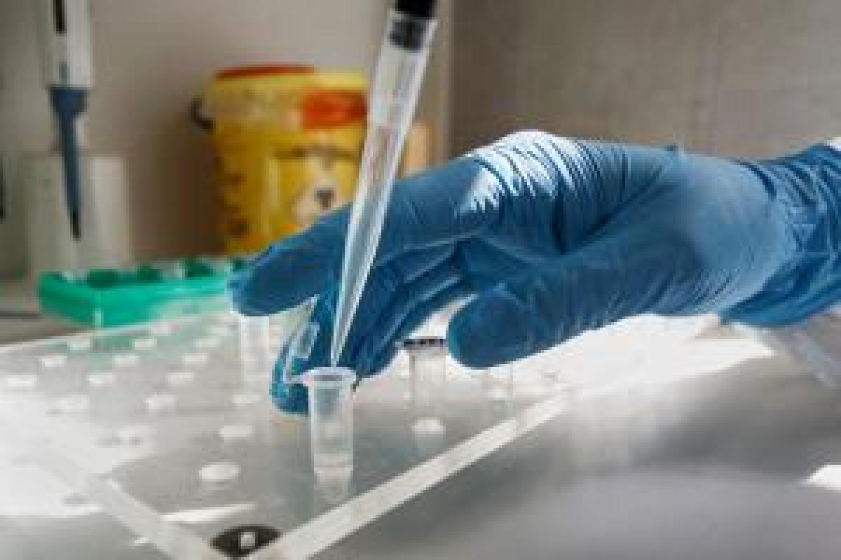 Осложнение погодных условия и статистика COVID-19: главные новости Украины за 11 декабря