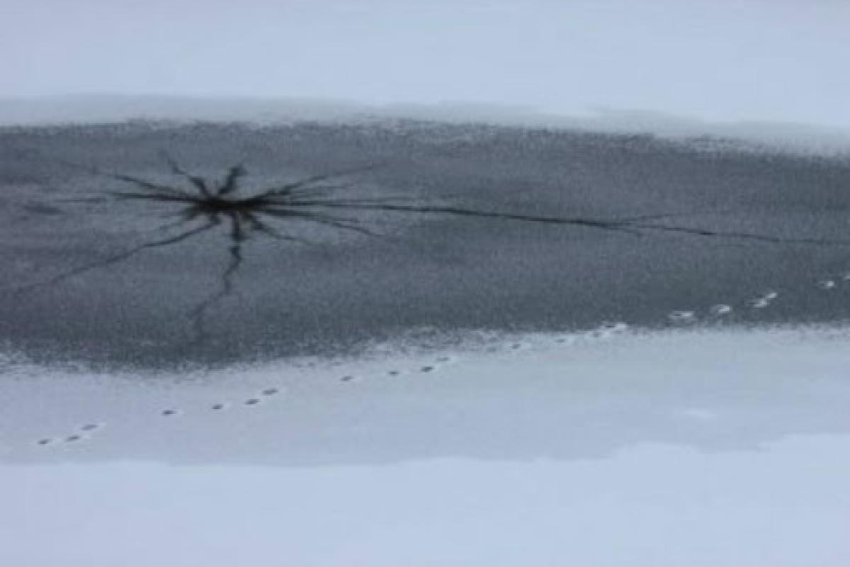 В Лисичанске 11-летняя девочка утонула в водоеме: полицейский пытался ее спасти, но не смог В Лисичанске 11-летняя девочка утонула в водоеме: полицейский пытался ее спасти, но не смог