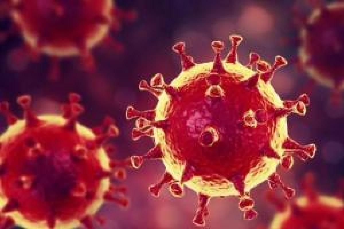У Луганській області підтверджено 14 нових випадків COVID-19 У Луганській області підтверджено 14 нових випадків COVID-19