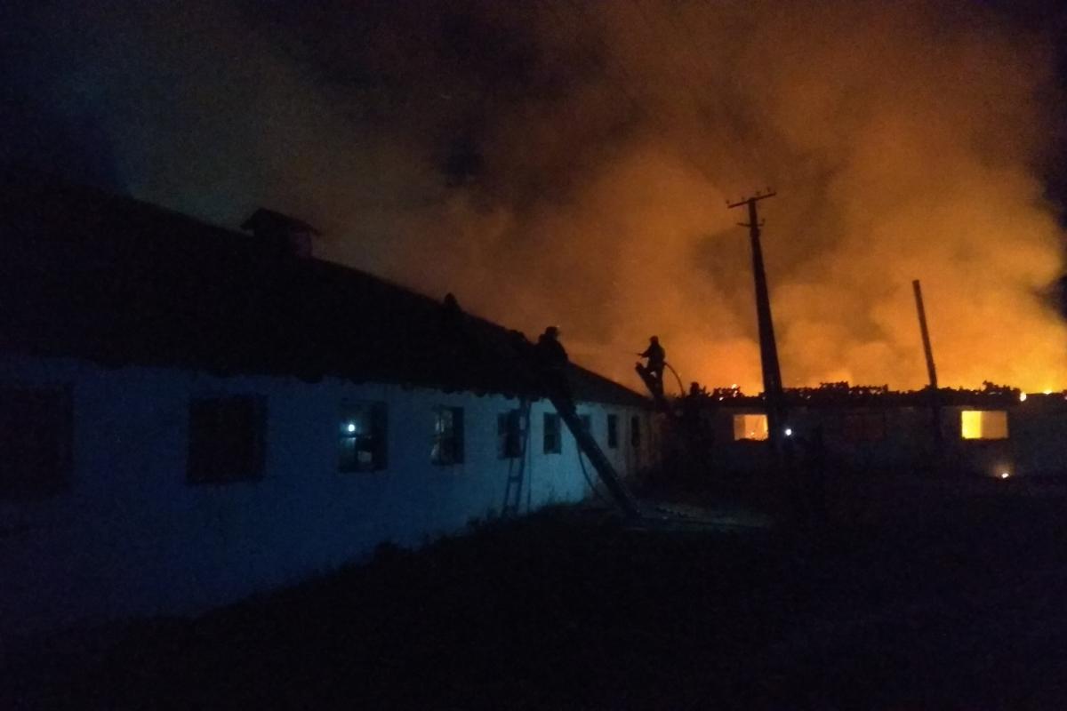 Масштабна пожежа на Луганщині: горіла тваринницька ферма Масштабна пожежа на Луганщині: горіла тваринницька ферма