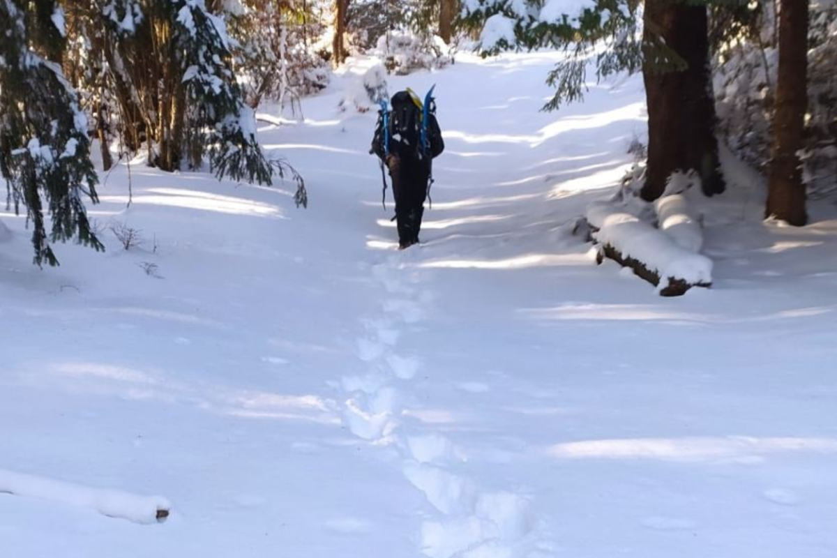 Бачили лише сліди: У Карпатах четвертий день не можуть знайти заблукалого туриста