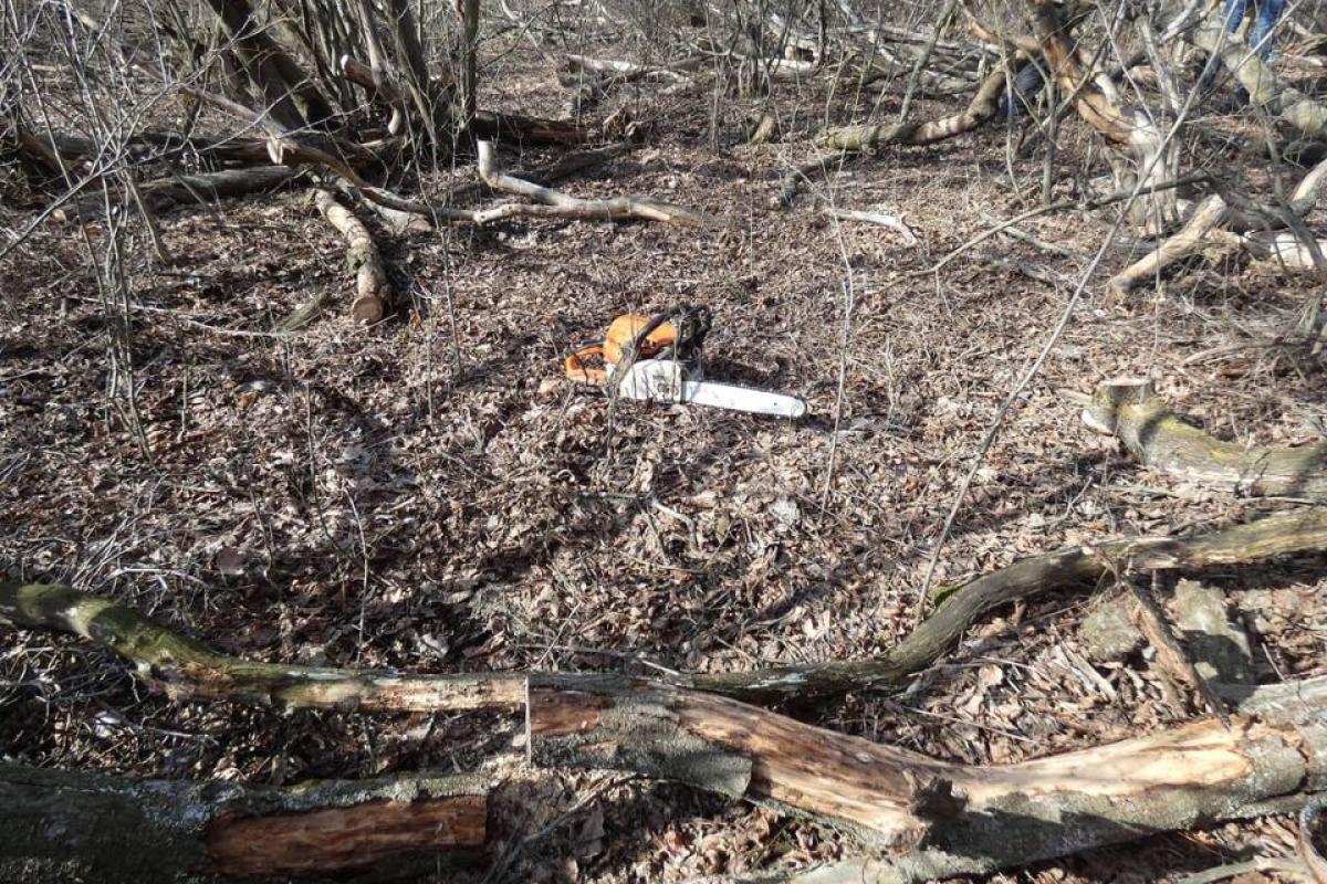У Сєвєродонецькому районі поліція виявила нелегальних лісорубів У Сєвєродонецькому районі поліція виявила нелегальних лісорубів