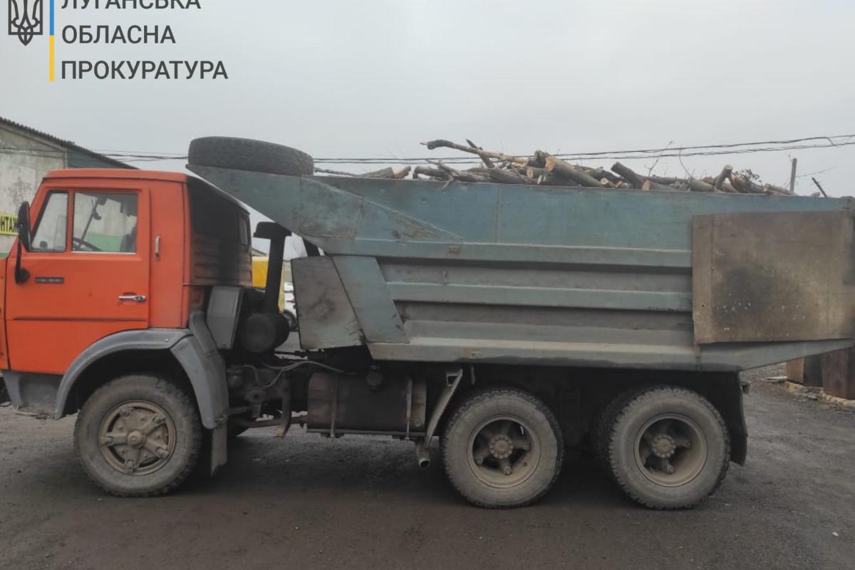 Розкрадання лісу та систематичні хабарі: На Луганщині заарештували посадовицю лісгоспу Розкрадання лісу та систематичні хабарі: На Луганщині заарештували посадовицю лісгоспу