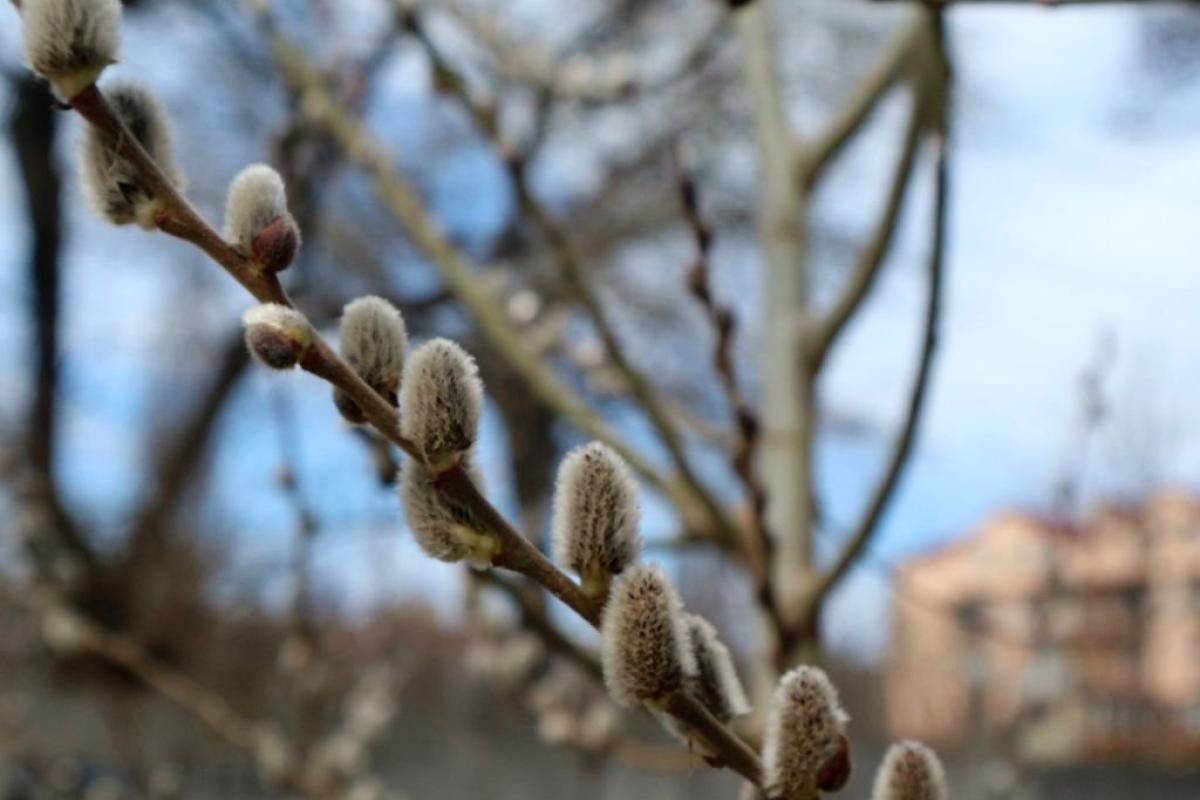В Україну йдуть перші грози: синоптик розповіла, якою буде погода на межі березня та квітня В Україну йдуть перші грози: синоптик розповіла, якою буде погода на межі березня та квітня