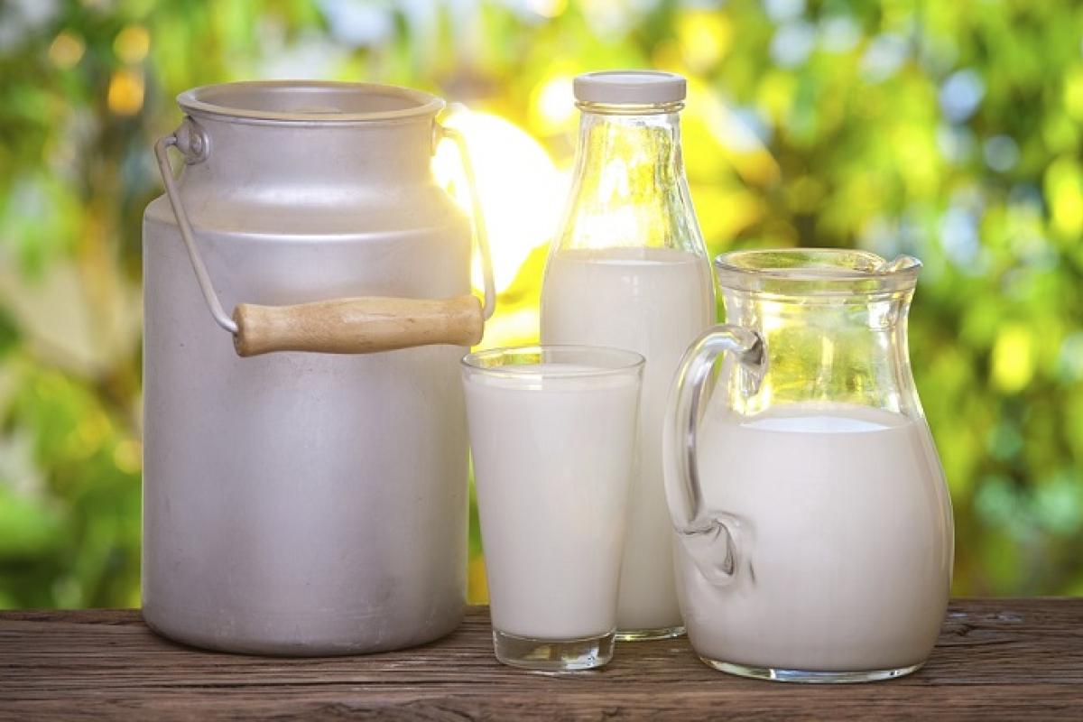 Фальсифікат на ринках України: які продукти найчастіше підробляють Фальсифікат на ринках України: які продукти найчастіше підробляють