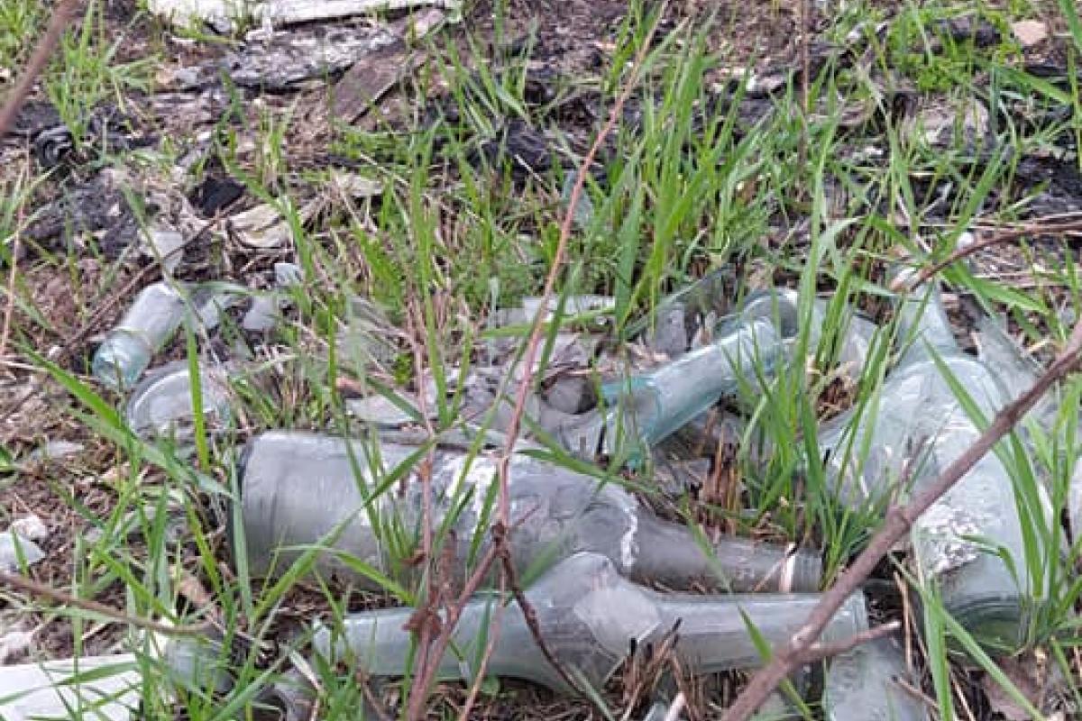 Полигон отходов: Исаева балка вновь утопает в мусоре (фото) Полигон отходов: Исаева балка вновь утопает в мусоре (фото)
