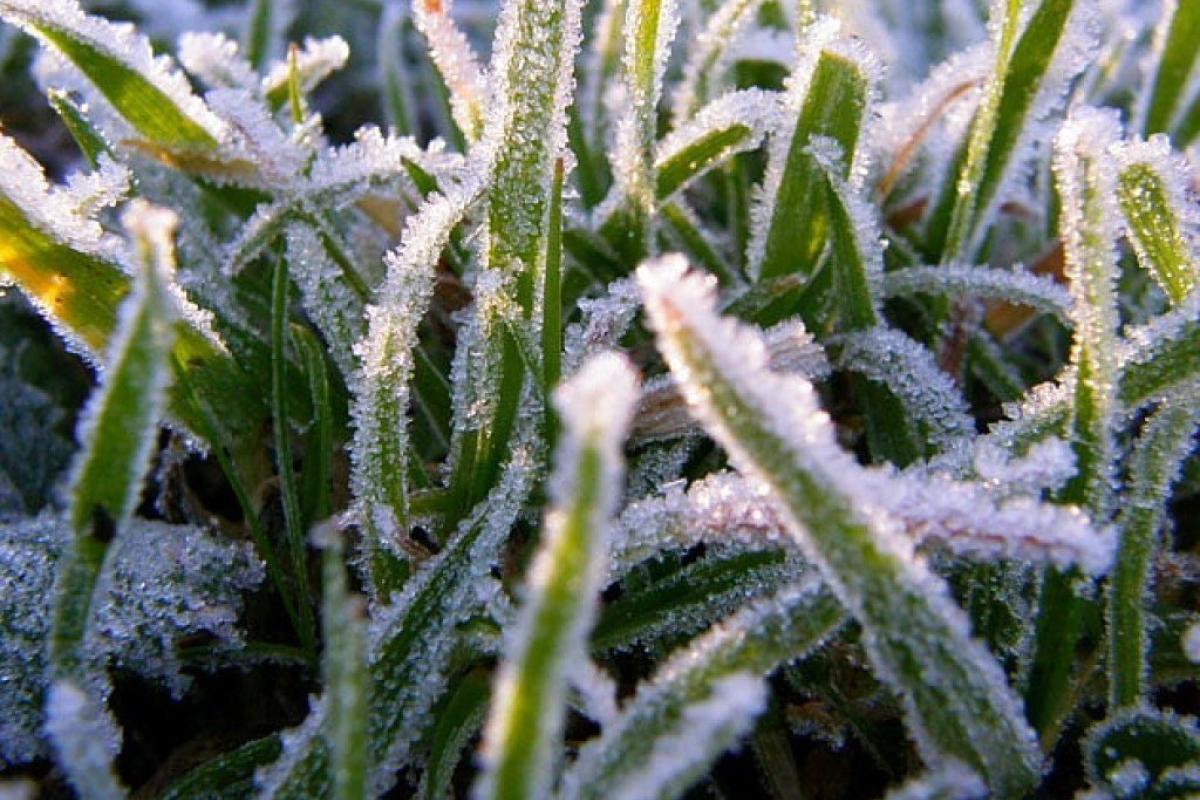 В Україні очікуються заморозки до -5 градусів, а на Великдень хлинуть зливи: які "сюрпризи" готує погода В Україні очікуються заморозки до -5 градусів, а на Великдень хлинуть зливи: які "сюрпризи" готує погода