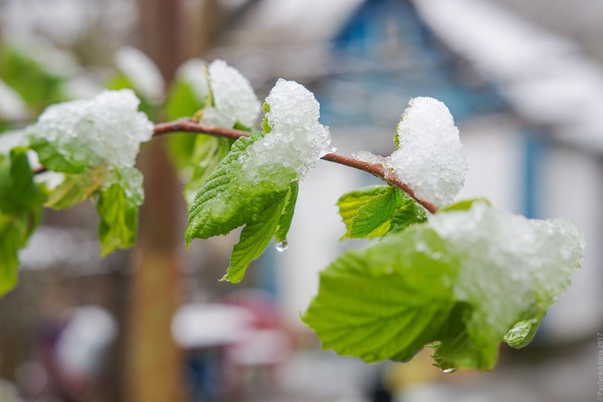 На часть Украины надвигается серьезное похолодание с мокрым снегом, - синоптик На часть Украины надвигается серьезное похолодание с мокрым снегом, - синоптик