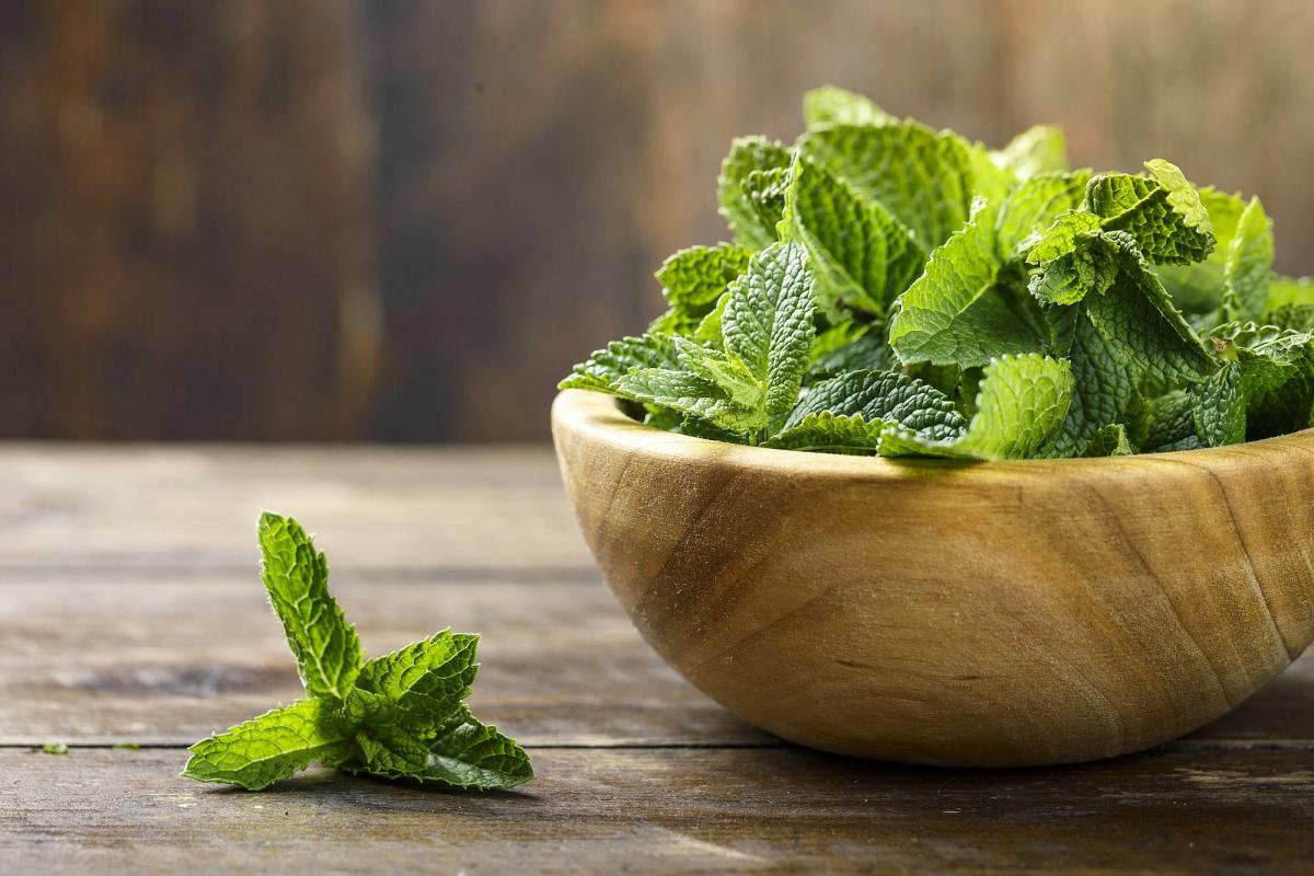 Никонов день: прикмети на 5 квітня, що можна і не можна робити Никонов день: прикмети на 5 квітня, що можна і не можна робити